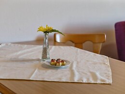 Spacious Apartment Near Ski Area in Mittersill