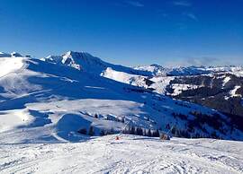 Spacious Apartment Near Ski Area in Mittersill