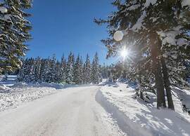 Spacious Apartment Near Ski Area in Mittersill