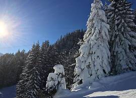 Spacious Apartment Near Ski Area in Mittersill