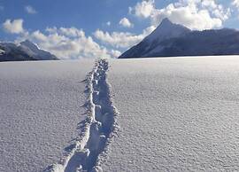 Spacious Apartment Near Ski Area in Mittersill