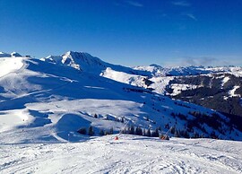 Spacious Apartment Near Ski Area in Mittersill