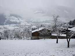 Spacious Apartment Near Ski Area in Mittersill