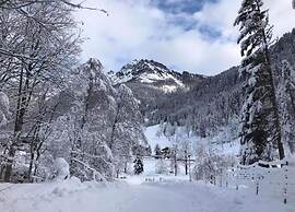 Spacious Apartment Near Ski Area in Mittersill