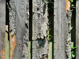 Apartment in the Hochsauerland Region in a Quiet Location