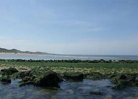 Stunning Apartment in Schoorl, North Hollandaeu