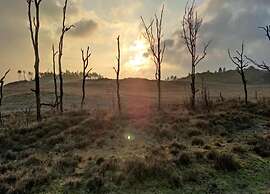 Stunning Apartment in Schoorl, North Hollandaeu