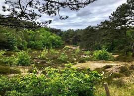 Stunning Apartment in Schoorl, North Hollandaeu