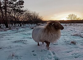 Stunning Apartment in Schoorl, North Hollandaeu