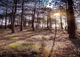 Stunning Apartment in Schoorl, North Hollandaeu