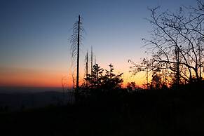 Welcoming Chalet Near Forest in Rohrnbach
