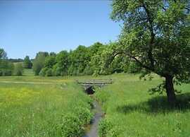 Welcoming Chalet Near Forest in Rohrnbach