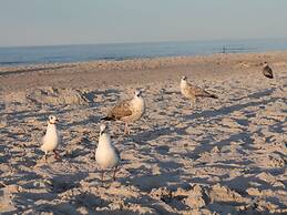 Cozy Apartment in Zingst Germany Near Beach