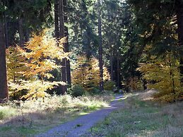 Luxurious Apartment in Heubach Germany in the Forest