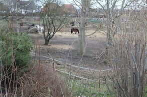 Gemuetlicher Bungalow in Boergerende-rethwisch mit Sauna