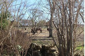 Gemuetlicher Bungalow in Boergerende-rethwisch mit Sauna