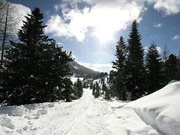 Sunlit Cabin With Jacuzzi in Turracherhohe