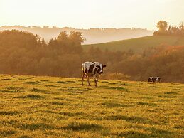 Stylish Apartment in Sohl With Terrace