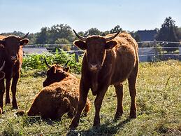 Stylish Apartment in Sohl With Terrace