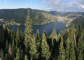 Chalet in Lovely, Rich Forest Setting With a Beautiful View