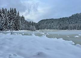 Chalet in Lovely, Rich Forest Setting With a Beautiful View