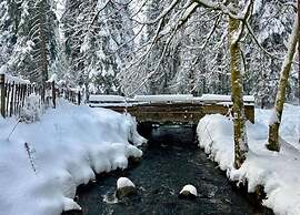 Chalet in Lovely, Rich Forest Setting With a Beautiful View