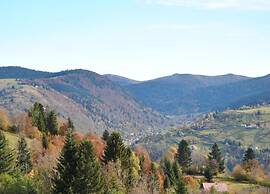 Chalet in Lovely, Rich Forest Setting With a Beautiful View