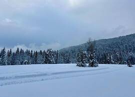 Chalet in Lovely, Rich Forest Setting With a Beautiful View