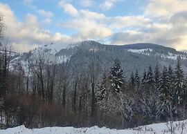 Chalet in Lovely, Rich Forest Setting With a Beautiful View