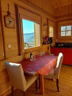 Chalet in Lovely, Rich Forest Setting With a Beautiful View
