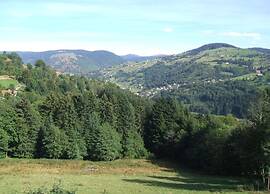 Chalet in Lovely, Rich Forest Setting With a Beautiful View