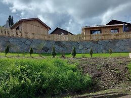 Chalet in Lovely, Rich Forest Setting With a Beautiful View