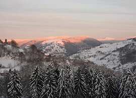 Chalet in Lovely, Rich Forest Setting With a Beautiful View