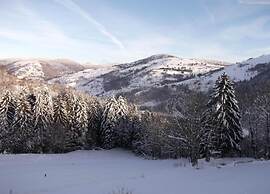 Chalet in Lovely, Rich Forest Setting With a Beautiful View