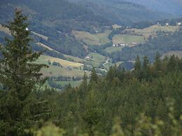 Chalet in Lovely, Rich Forest Setting With a Beautiful View