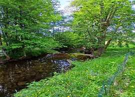 Chalet in Lovely, Rich Forest Setting With a Beautiful View