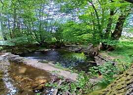 Chalet in Lovely, Rich Forest Setting With a Beautiful View