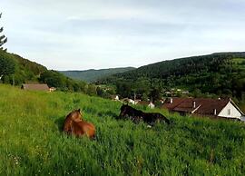 Chalet in Lovely, Rich Forest Setting With a Beautiful View