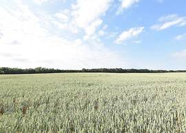 Ruhiges Appartement in Strandnaehe in Wohlenberg, Deutschland