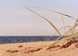 Ruhiges Appartement in Strandnaehe in Wohlenberg, Deutschland
