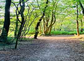 Alluring Apartment in Bergen With Terrace, Garden and BBQ