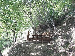 Cozy Holiday Home in Modigliana Italy With Garden