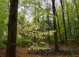 Secluded Chalet in Suwald With Hottub