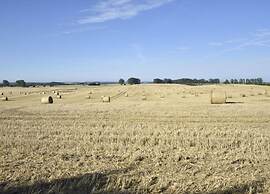 Idyllic Holiday Home in Damshagen With Terrace