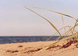 Idyllic Holiday Home in Damshagen With Terrace