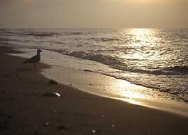 Idyllic Holiday Home in Damshagen With Terrace