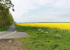 Idyllic Holiday Home in Damshagen With Terrace