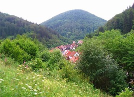Spacious Group House in the Harz Region