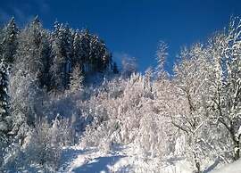 Detached Holiday Residence in the Wonderfully Beautiful Harz