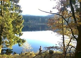 Detached Holiday Residence in the Wonderfully Beautiful Harz